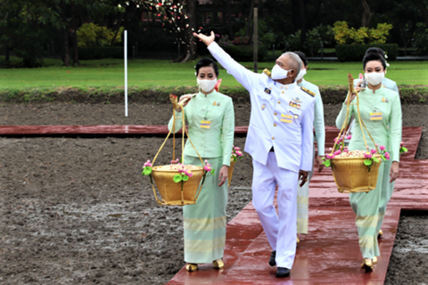タイ語で農耕祭.png