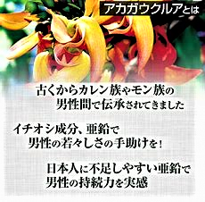 赤ガウクルア.png