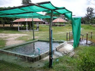 pict-002.jpg