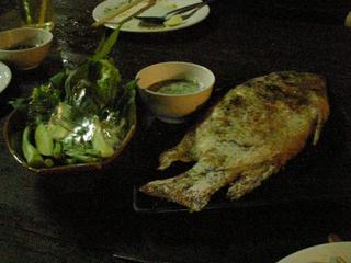 pict-008.jpg
