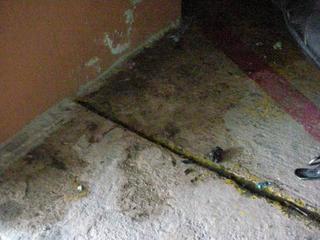pict-018.jpg