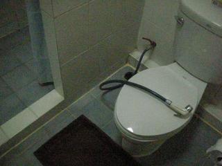 pict-03.jpg