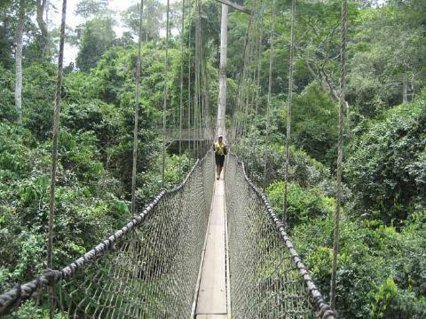 pict-14.-Canopy-Walk-Ghana.jpg
