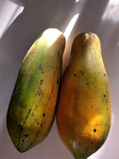 pict-1515578670062パパイヤ(タイ語でマラコウ).jpg