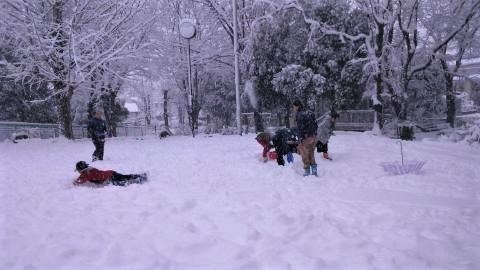 pict-1516620145536.jpg