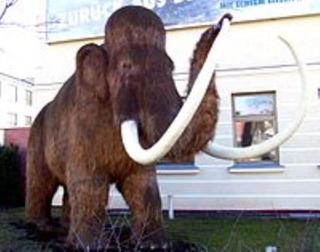 pict-200px-Mamut_NDH_2.jpg