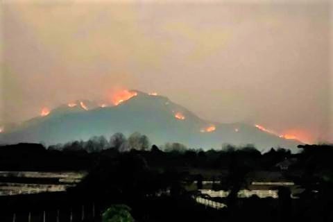 pict-Chiang Mai on Sunday.jpg
