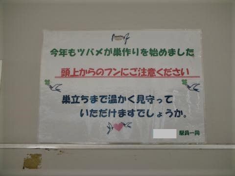pict-DSCN0926.jpg