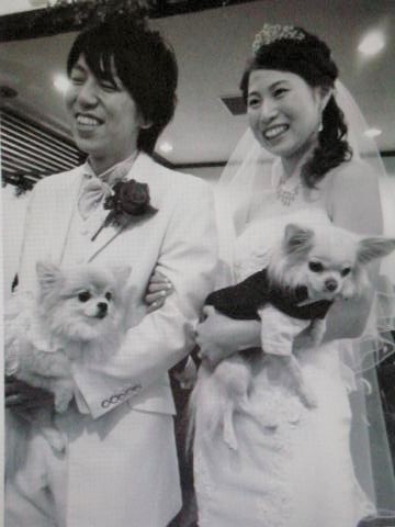 pict-DSCN3690白浜殺人事件.jpg