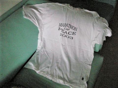 pict-DSCN3956Tシャツ.jpg