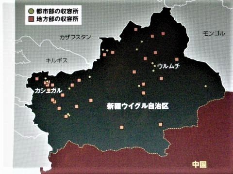 pict-DSCN4708ウィグル (1).jpg