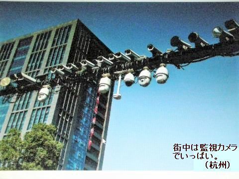 pict-DSCN4708ウィグル (3).jpg