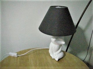 pict-DSCN5283電気スタンド (2).jpg