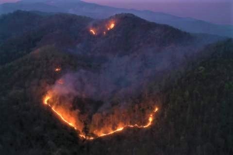 pict-Doi Suthep fire 3.jpg