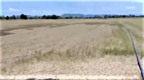 pict-Drought spreads to Sukhothai.jpg