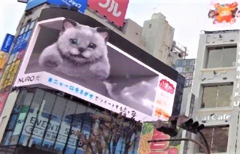pict-あの日本の巨大3D猫、またしても進化.jpg