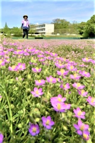 pict-いわき市の市立好間中の校庭2.jpg