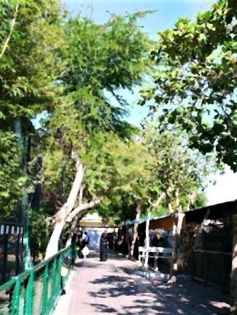 pict-ドバイ動物園「Dubai Zoo」。.jpg