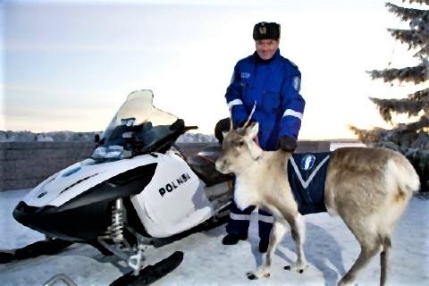 pict-フィンランドの交通警察は鹿を連れて.jpg