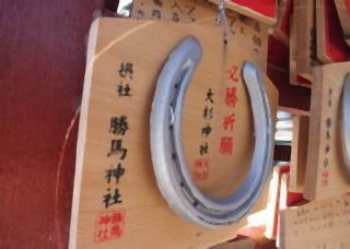 pict-勝ち馬.jpg