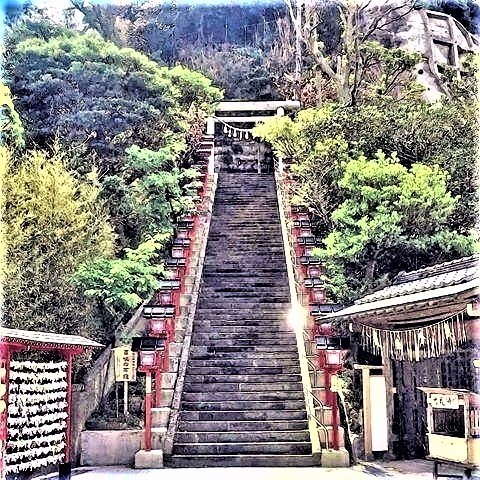 pict-千葉県勝浦遠見岬神社ひな壇.jpg