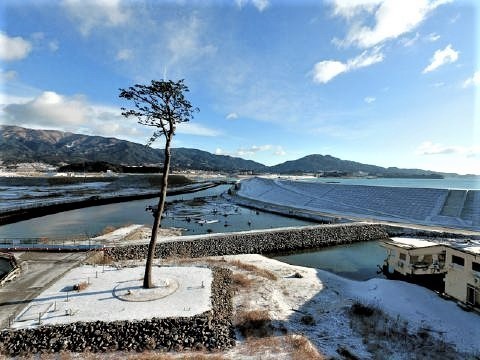 pict-奇跡の一本松防潮堤.jpg
