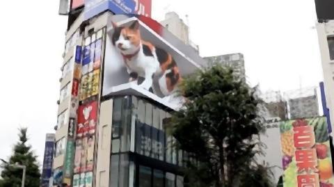 pict-新宿東口の巨大広告の飛び出す猫.jpg