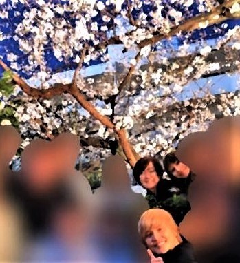 pict-昭恵氏、花見自粛要請の中.jpg