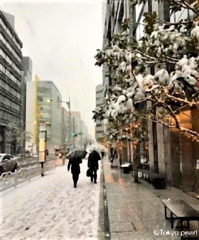 pict-東京では今年初の雪.jpg