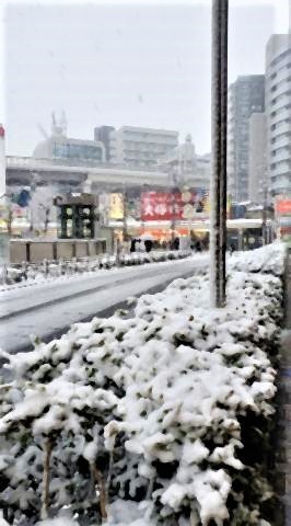 pict-東京では今年初の雪2.jpg