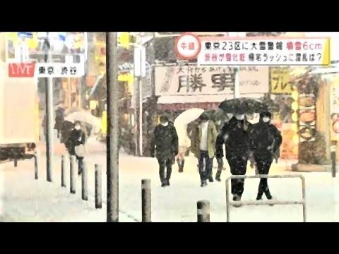 pict-東京に降雪3.jpg