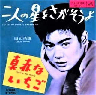 pict-田辺靖雄.jpg