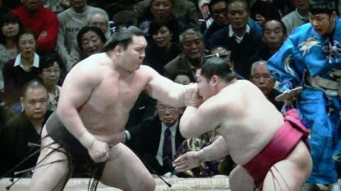 pict-白鵬vs遠藤.jpg