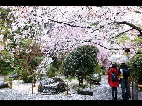 pict-相合傘 .jpg