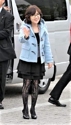 pict-稲田朋美網タイツ.jpg