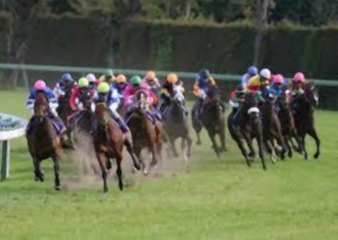 pict-競馬レースシーン.jpg