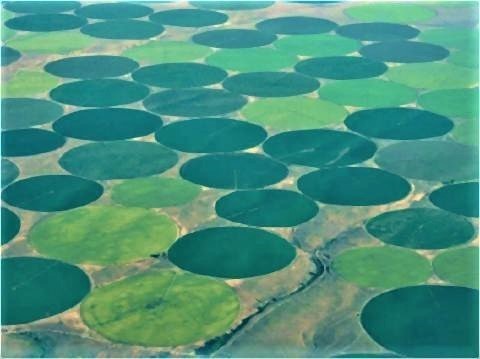 pict-緑の円形模様、アメリカ流の大規模潅漑農業.jpg
