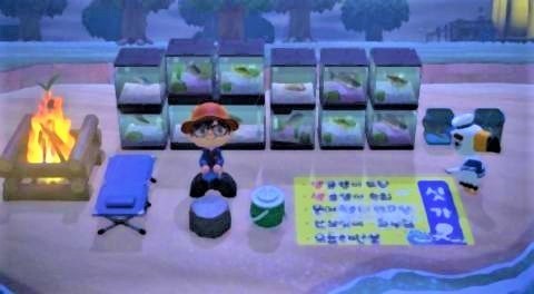 pict-魚屋で商売を始める韓国ユーザー.jpg