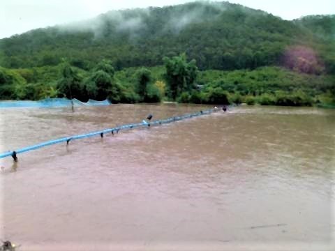 pict-Flash floods in Phrao.jpg