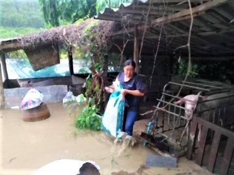 pict-Flash floods in Phrao2.jpg