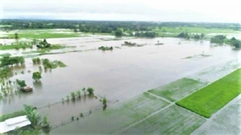 pict-Flooding in Khon Kaen PHOTO Daily News.jpg