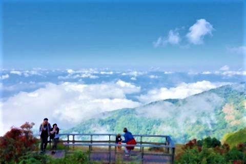 pict-KewMaePan_Nature_Trail006.jpg