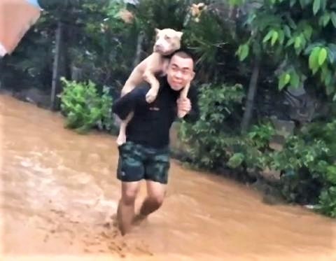 pict-Man Carries Dog on his Back to Rescue.jpg