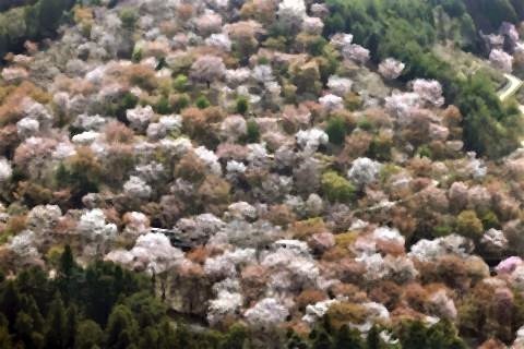 pict-Mt Yoshino.jpg