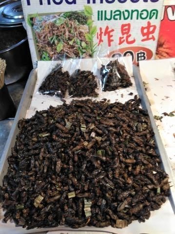 pict-P_20180305_204640.jpg