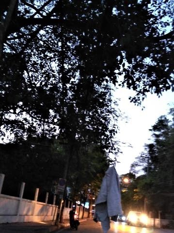 pict-P_20180408_184921.jpg