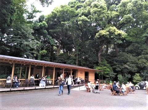 pict-P_20180512_085130.jpg