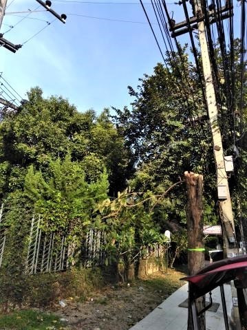 pict-P_20181019_074229.jpg