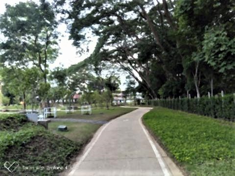 pict-P_20190729_072508_vHDR_On_pプラセト公園 (5).jpg