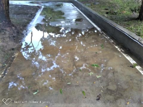 pict-P_20190824_065214_vHDR_On_p.jpg